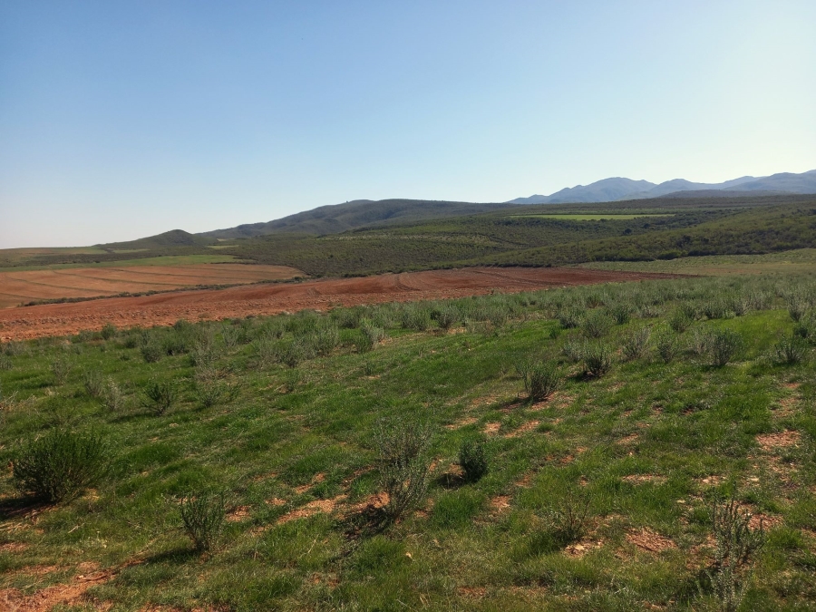 Commercial Property for Sale in George Rural Western Cape
